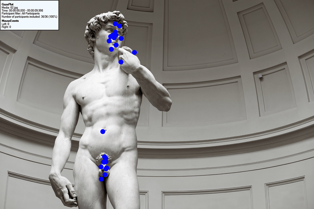 Bee Swarm from an eye tracking study with 30 users by TeaCup Lab of the masterpiece David by Michelangelo.