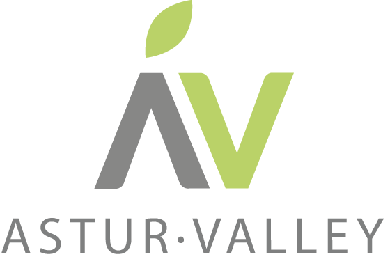 asturvalley_logo asturvalley_logo